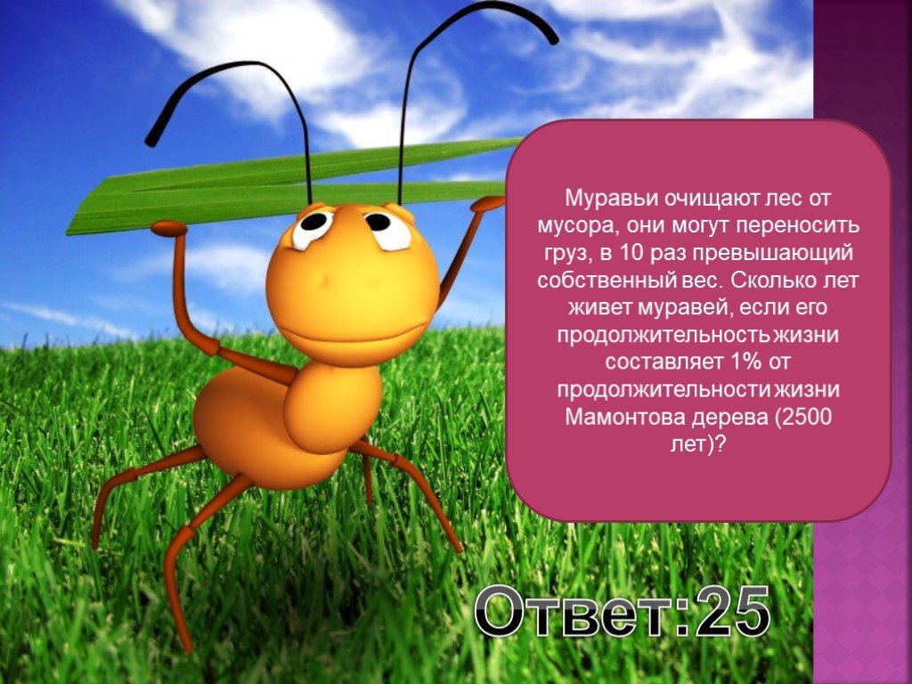 Во сколько раз муравей поднимает вес. Вес муравья. Сколько весит муравей. Продолжительность жизни муравья. Вес одного муравья.