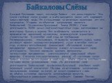 Байкаловы Слёзы. Каждый Россиянин знает, что озеро Байкал – это наша гордость! Это самое глубокое озеро в мире, и в нём находится около 20% мирового запаса пресной воды. Но к сожалению за несколько нынешних лет его загрязняли. И одним из объектов загрязнения является Байкальский Целлюлозно-Бумажный 