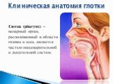 Глотка (pharynx) – непарный орган, расположенный в области головы и шеи, является частью пищеварительной и дыхательной систем. Клиническая анатомия глотки