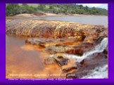 Гидротермальный источник с железистой водой. Окислы железа окрашивают воду в бурый цвет.