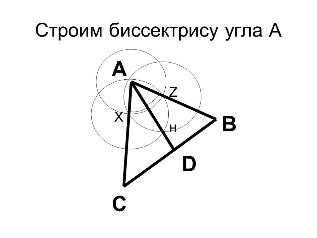 Как рисовать биссектрису