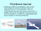 Морфные крылья. Концепция гибкого, или морфного, крыла очень перспективна по многим причинам. Скорости самолётов растут, и это приводит к тому, что аэродинамическая нагрузка на крыло возрастает, а любой шов или выступ, конечно, влияет на расход топлива. Борьба за «плавность» аэродинамических форм ст