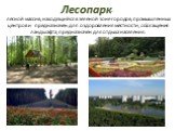 Лесопарк- лесной массив, находящийся в зелёной зоне городов, промышленных центров и предназначен для оздоровления местности, обогащения ландшафта, предназначен для отдыха населения.