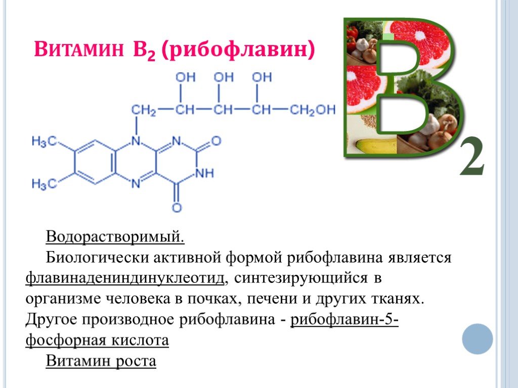 Презентация витамин в2