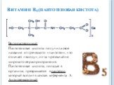 Витамин В5 (пантотеновая кистота). Водорастворимый Пантотеновая кислота получила свое название от греческого «пантотен», что означает «всюду», из-за чрезвычайно широкого её распространения. Пантотеновая кислота, попадая в организм, превращается в пантетин, который входит в состав кофермента А. Антид