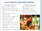 КЛАССИФИКАЦИЯ ВИТАМИНОВ. Водорастворимые Витамин В1 (тиамин); Витамин В2 (рибофлавин); Витамин РР (никотиновая кислота, никотинамид, витамин В3); Пантотеновая кислота (витамин В5); Витамин В6 (пиридоксин); Биотин (витамин Н); Фолиевая кислота (витамин Вс, В9); Витамин В12 (кобаламин); Витамин В15 (п