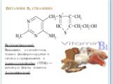 Витамин В1 (тиамин). Водорастворимый. Всасываясь из кишечника, тиамин фосфорилируется в печени и превращается в тиаминпирофосфат (ТПФ) — активную форму тиамина. Антиневритный.