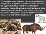 Следы обитания гоминид среднего палеолита в пещерах обнаружены в Чоммаль (близ Чечхона) и в Турубоне (близ Чхонджу). В этих двух пещерах также обнаружены ископаемые останки вымерших в Корее животных — шерстистого носорога, пещерного медведя, бурого медведя, гиены и многочисленных оленей