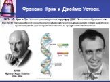 Френсис Крик и Джеймс Уотсон. 1953г - Ф. Крик и Дж. Уотсон расшифровали структуру ДНК. Это стало побудительным мотивом для разработки способов крупномасштабного культивирования клеток различного происхождения для получения клеточных продуктов и самих клеток. Джеймс Девей УОТСОН