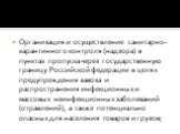 Организация и осуществление санитарно-карантинного контроля (надзора) в пунктах пропуска через государственную границу Российской федерации в целях предупреждения завоза и распространения инфекционных и массовых неинфекционных заболеваний (отравлений), а также потенциально опасных для населения това