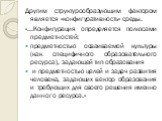 Другим структурообразующим фактором является «конфигуративность» среды. «...Конфигурация определяется полюсами предметностей: предметностью осваиваемой культуры (как специфичного образовательного ресурса), задающей тип образования и предметностью целей и задач развития человека, задающих вектор обра