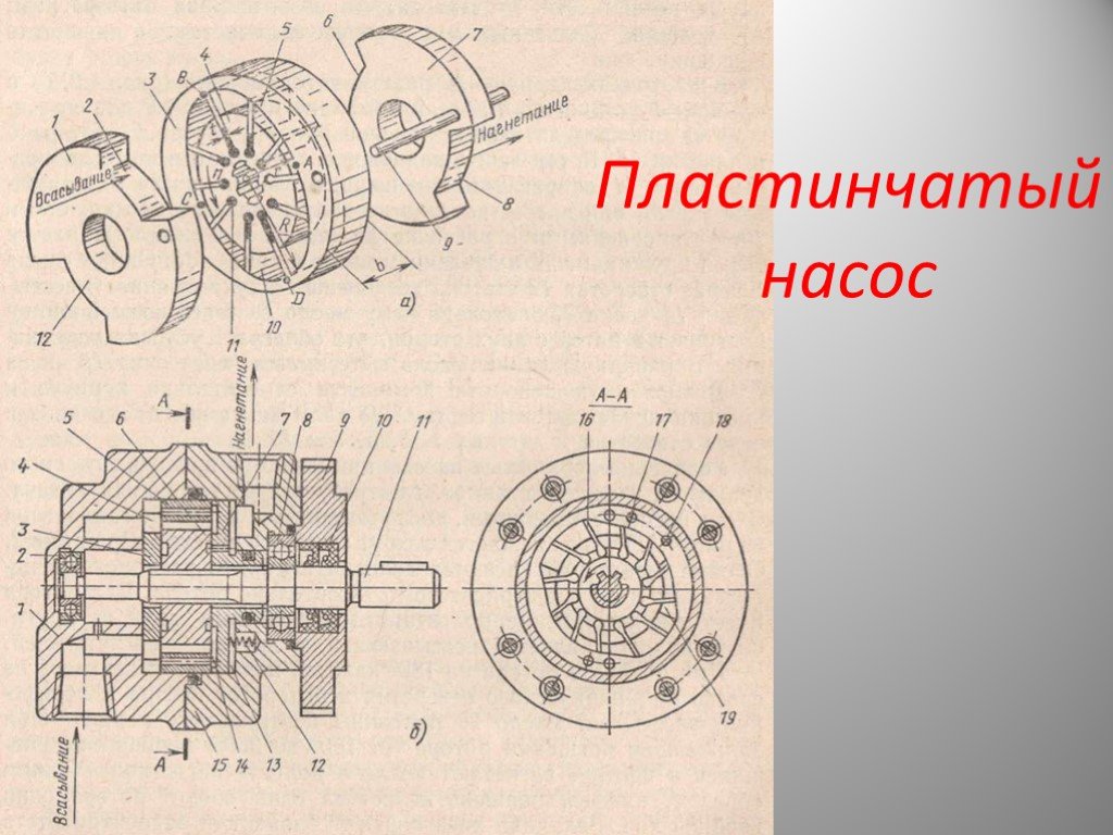 Пластинчатый насос схема