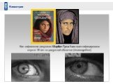 Биометрия. Как «афганская девушка» Шарбат Гула была идентифицирована спустя 18 лет по радужной оболочке (iris recognition)