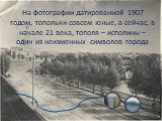 На фотографии датированной 1907 годом, топольки совсем юные, а сейчас, в начале 21 века, тополя – исполины – один из неизменных символов города