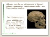 100 тыс. лет до н.э. в Восточной и Южной Африке проживают современные люди – или Homo sapiens sapiens. 100 тыс. лет до н.э. Череп Неандертальского человека. (Homo neanderthalensis). Объём мозга 1600-1700см3. Толстые черепные стенки, но всё же тоньше, чем у человека прямоходящего. Отсутствет подбород