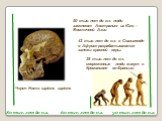60 тыс. лет до н.э. 80 тыс. лет до н.э. 30 тыс. лет до н.э. Череп Homo sapiens sapiens. 50 тыс. лет до н.э. люди заселяют Австралию из Юго – Восточной Азии. 42 тыс. лет до н.э. в Свазиленде в Африке разрабатываются залежи красной охры. 38 тыс. лет до н.э. современные люди живут в Кроманьоне во Франц