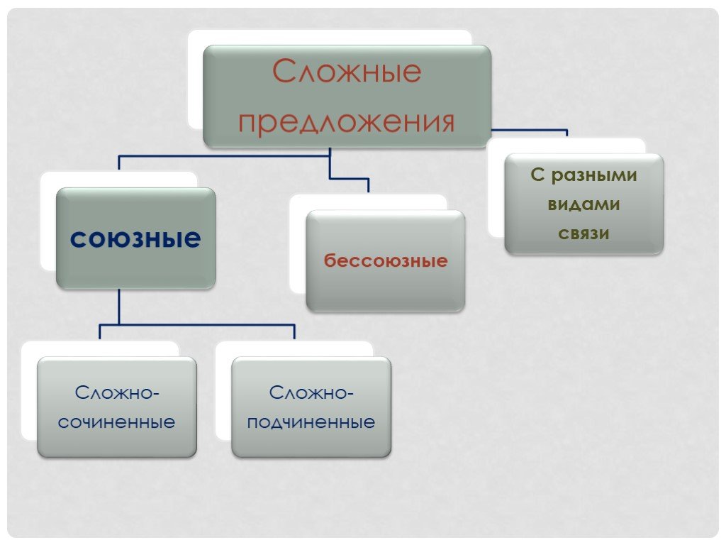 Союзная связь. Сложноподчиненные предложения презентация 9 класс. Сложные подчиненные типы. Структура управления СПП Приморское.