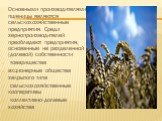 Основными производителями пшеницы являются сельскохозяйственные предприятия. Среди зернопроизводителей преобладают предприятия, основанные на разделенной (долевой) собственности товарищества акционерные общества закрытого типа сельскохозяйственные кооперативы коллективно-долевые хозяйства