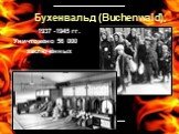 Бухенвальд (Buchenwald), 1937 -1945 гг. Уничтожено 56 000 заключённых