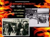 Освенцим (Oswiecim), 1940 -1945 гг. Истреблено свыше 4 млн. человек.