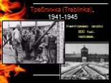 Треблинка (Treblinka), 1941-1945. Уничтожено около 800 тыс. человек.