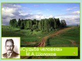 «Судьба человека» М.А.Шолохов