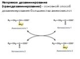 Непрямое дезаминирование (трансдезаминирование) - основной способ дезаминирования большинства аминокислот