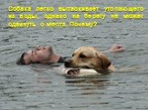 Собака легко вытаскивает утопающего из воды, однако на берегу не может сдвинуть с места. Почему?