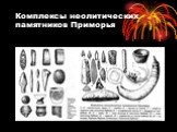 Комплексы неолитических памятников Приморья