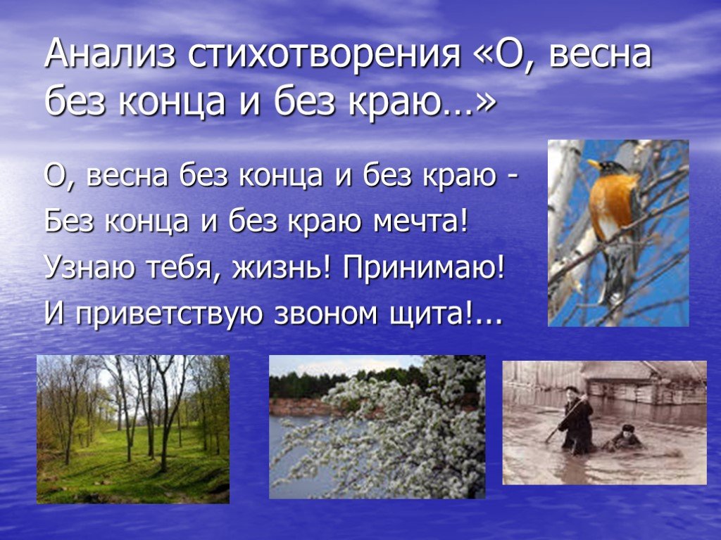 Весенние анализы. О Весна без конца и без краю. Весна блок стихотворение. Стих Весна без конца и края. О Весна без конца и без краю стих.