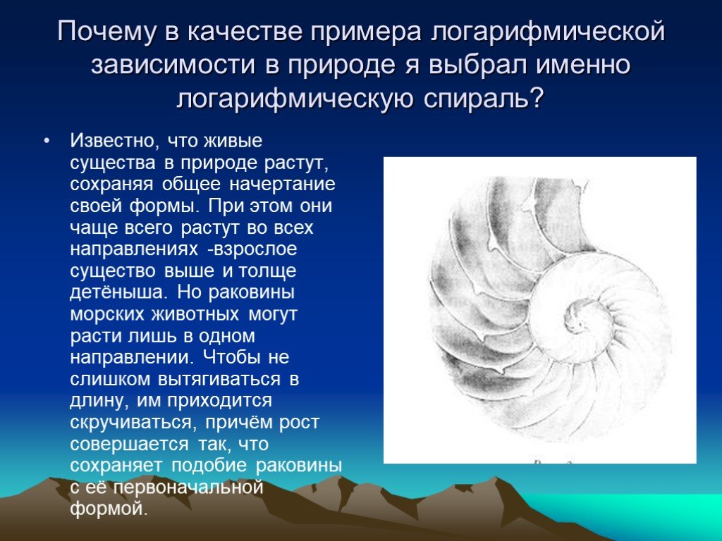 Логарифмическая спираль в природе. Применение логарифмической спирали в природе. Логарифмическая спираль в природе примеры. Применение логарифмической спирали в живой природе. 2. Логарифмическая зависимость в природе.