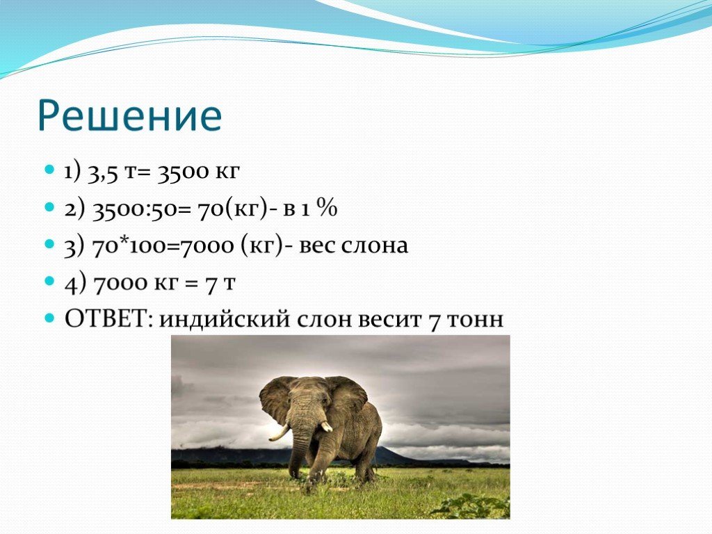 Масса слона 5 тонн это на 4. Масса слона 5. Слон весит 100. Масса слона 5 т. Слон весит 5 т.