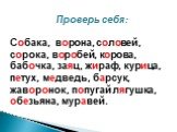 Проверь себя: Собака, ворона, соловей, сорока, воробей, корова, бабочка, заяц, жираф, курица, петух, медведь, барсук, жаворонок, попугай лягушка, обезьяна, муравей.