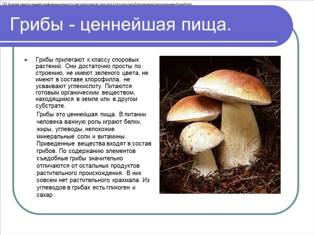 Гликоген у грибов