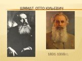 Шмидт отто юльевич. 1891-1956гг.