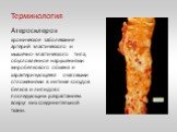 Терминология. Атеросклероз хроническое заболевание артерий эластического и мышечно-эластического типа, обусловленное нарушениями жиробелкового обмена и характеризующееся очаговыми отложениями в интиме сосудов белков и липидов с последующим разрастанием вокруг них соединительной ткани.