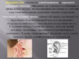 Наружное ухо состоит из ушной раковины и наружного слухового прохода. Наружное ухо участвует в собирании и проведении звуков. Ушная раковина построена из упругого эластического хряща, покрытого тонким слоем кожи. Наружный слуховой проход- изогнутый канал, состоящий из наружного отдела(хрящевой части