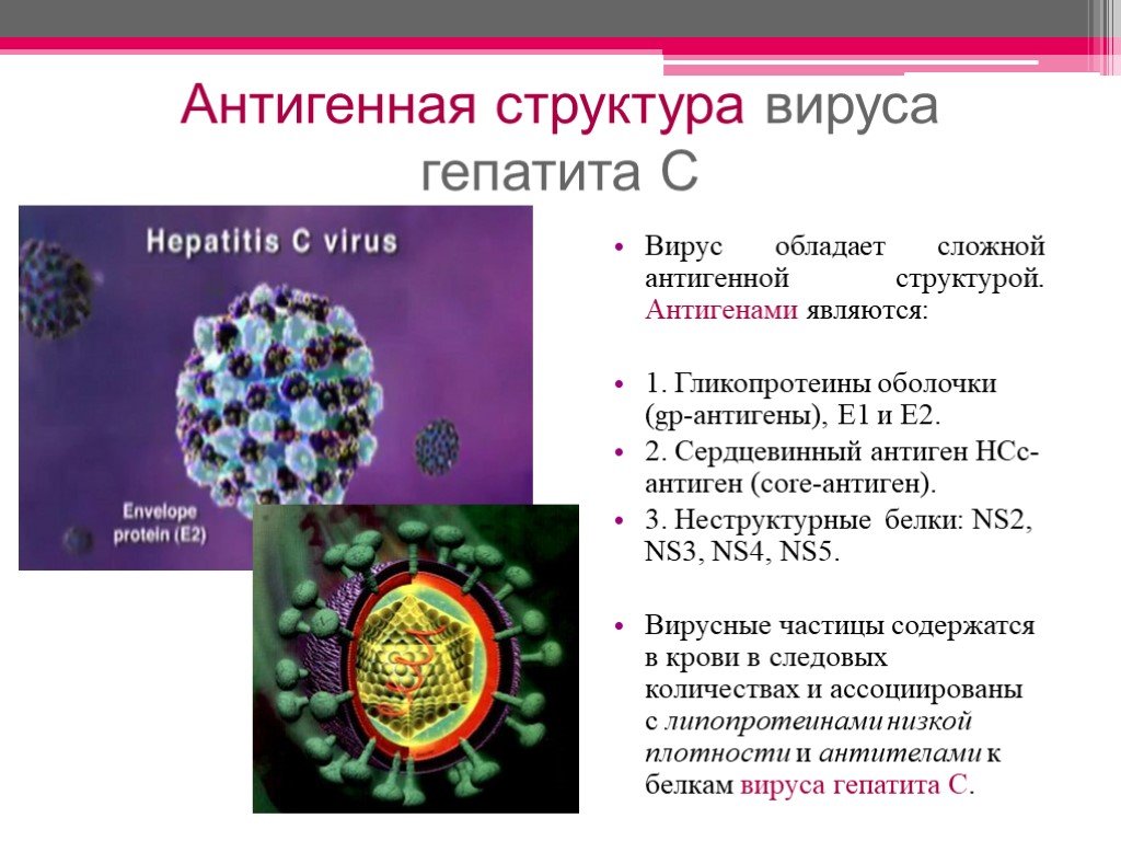 Гепатит описание вируса. Вирусный гепатит с антигенная структура. Вирус гепатита b антигенная структура. Антигенная структура гепатита в. Строение вируса гепатита в.