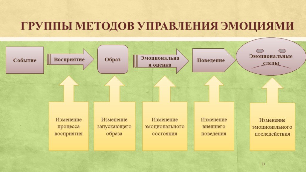 Механизмы проявления эмоций проект