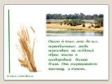 Около 6 тыс. лет до н.э. первобытные люди переходят на осёдлый образ жизни в плодородной долине Нила. Они выращивают пшеницу и ячмень.