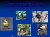 Давайте вспомним других птиц, в названиях которых есть звуки [с] и [с,]. синица скворец соловей сокол аист