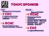ТОНУС БРОНХОВ. СНС – бронходилатация  СНС -адреномиметики (сальбутамол, фенотерол, тербуталин)  ПСНС М-холиноблокаторы (атропин, ипратропиум, тиотропиум). ПСНС – бронхоспазм  ПСНС Холиномиметики (пилокарпин) Антихолиноэстеразные (прозерин, убретид, нейромидин) Холинергики (цераксон, цитиколин – 