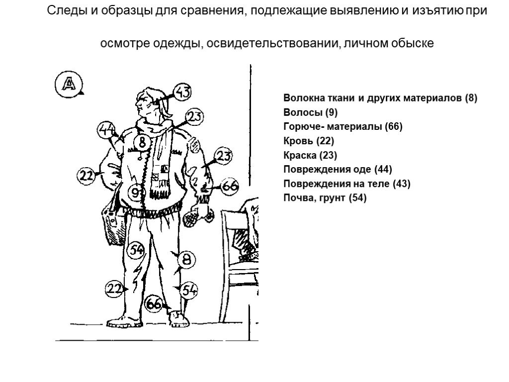 Осмотр одежды