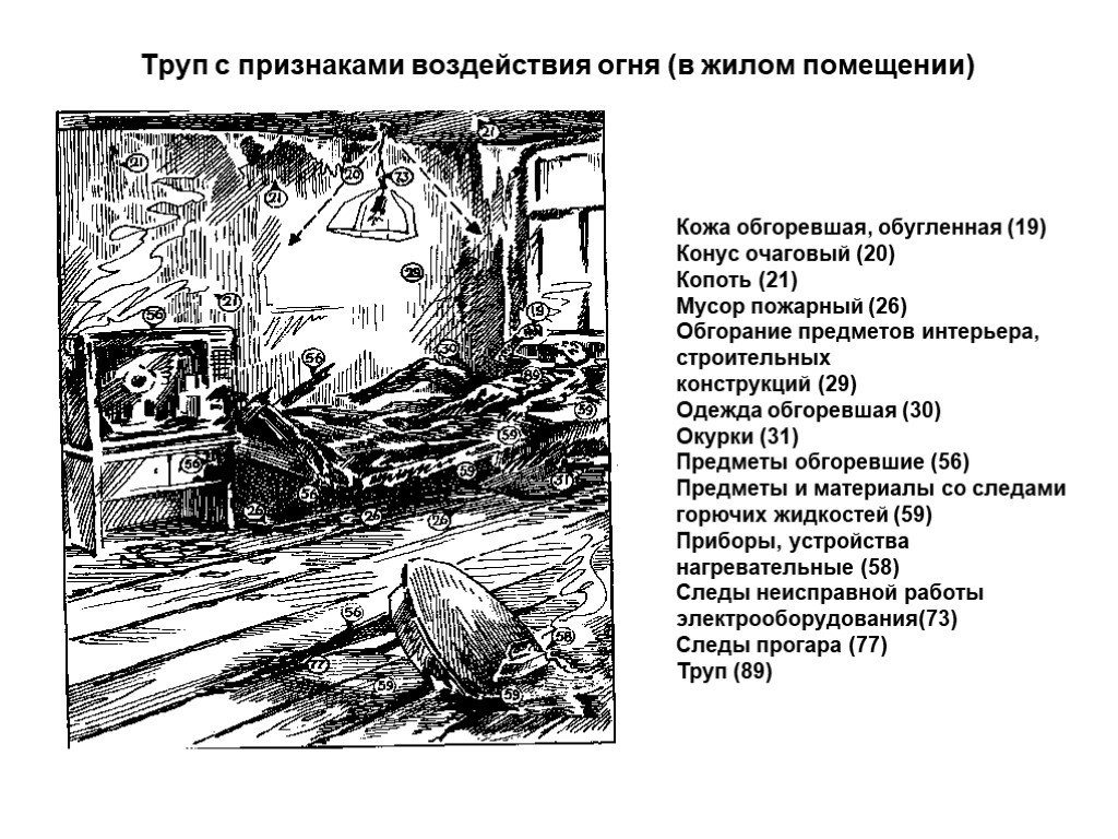 Темы для презентаций по криминалистике