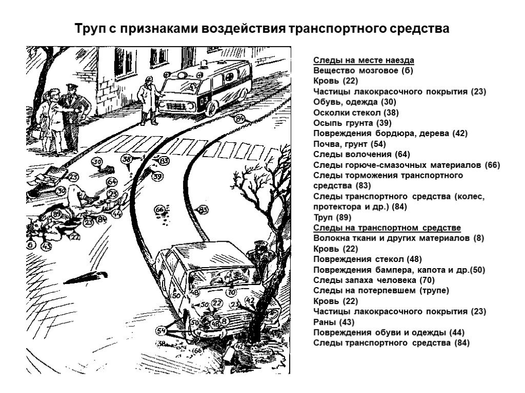 Презентация по криминалистике