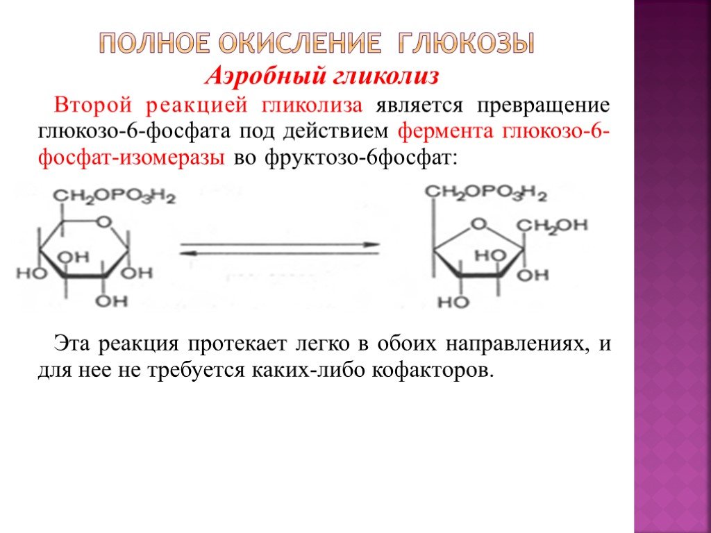 Аэробное соединение. Глюкозо 6 фосфат функции. Фермент превращающий глюкозу в глюкозо 6 фосфат. Глюкоза 6 фосфат изомераза. (Глюкозо-6-фосфат + фосфоглюкоизомераза = фруктозо-6-ф.