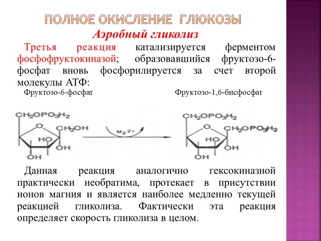 Реакция окисления гликолиза. Полное окисление 1 молекулы Глюкозы. Фруктозо 6 фосфат образуется. Аэробное окисление Глюкозы формулы. Полное окисление Глююкозы.