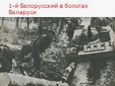 1-й Белорусский в болотах Беларуси