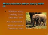 Мама-слониха имеет массу 6000 кг.