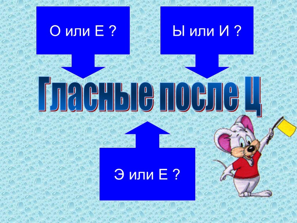 Е или э проект